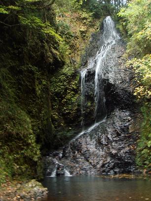 b0142224_18359.jpg