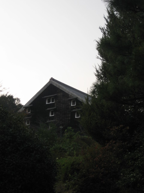 d0147727_2034353.jpg