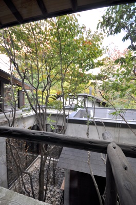 d0065928_1135155.jpg