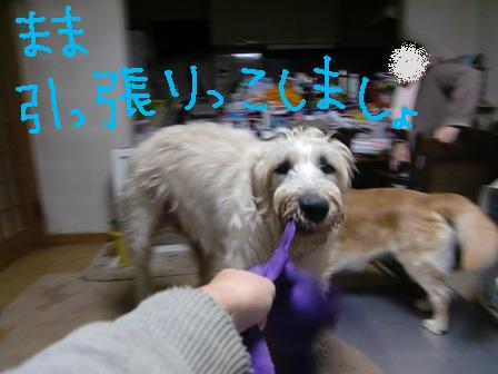 f0176830_15311714.jpg