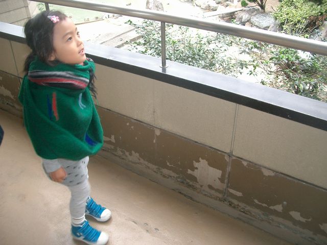 a0122933_2324943.jpg