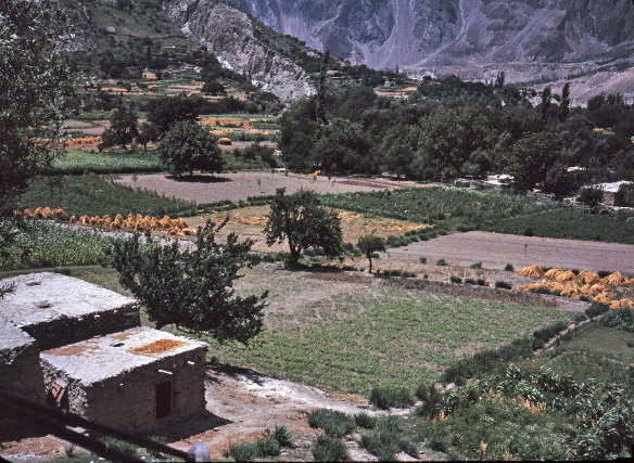 d0091834_20122817.jpg