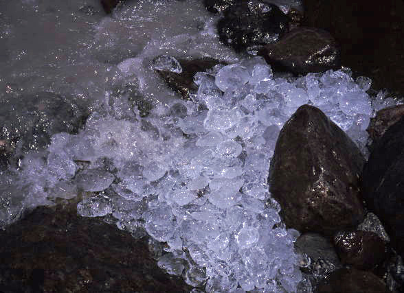 d0091834_20125633.jpg