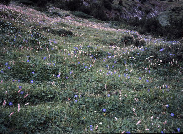 d0091834_20131818.jpg