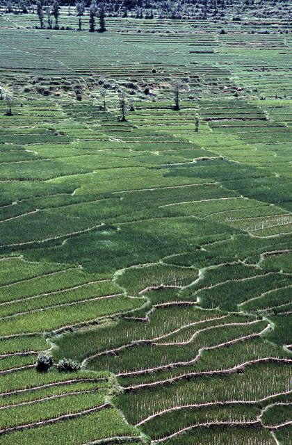 d0091834_20474339.jpg