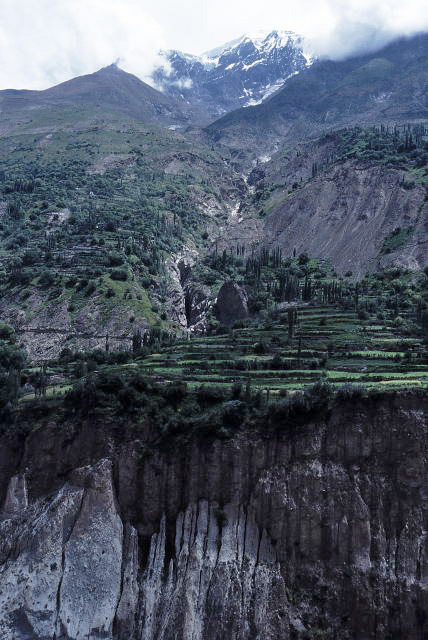 d0091834_20482325.jpg