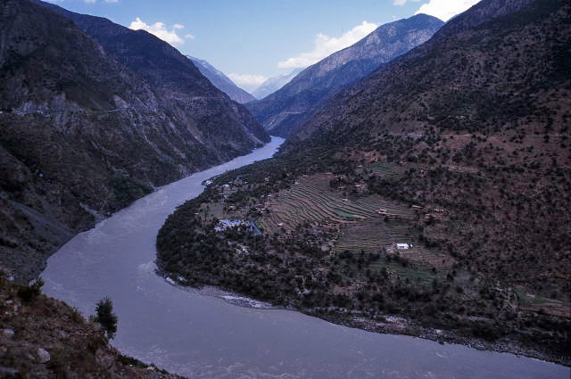 d0091834_2048762.jpg