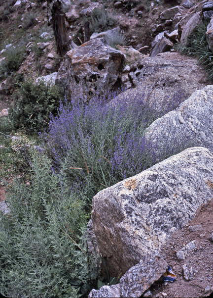 d0091834_20501236.jpg