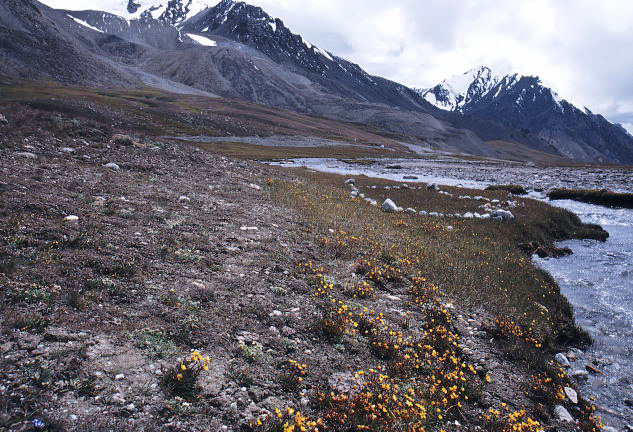 d0091834_21172190.jpg