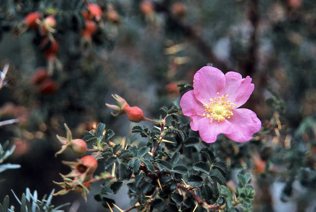 d0091834_2119630.jpg