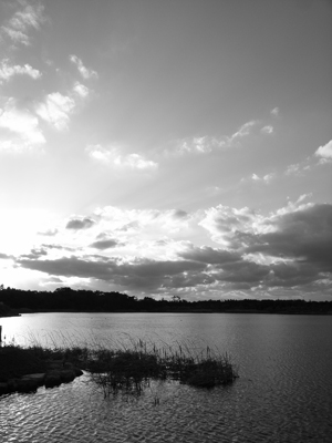 a0097735_2351416.jpg