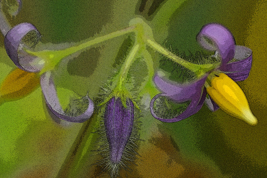 d0069235_22524192.jpg