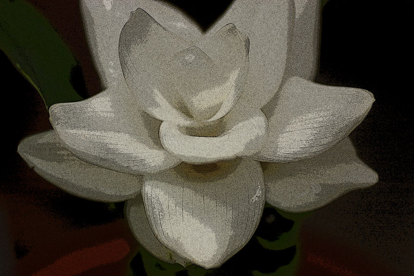 d0069235_22533074.jpg