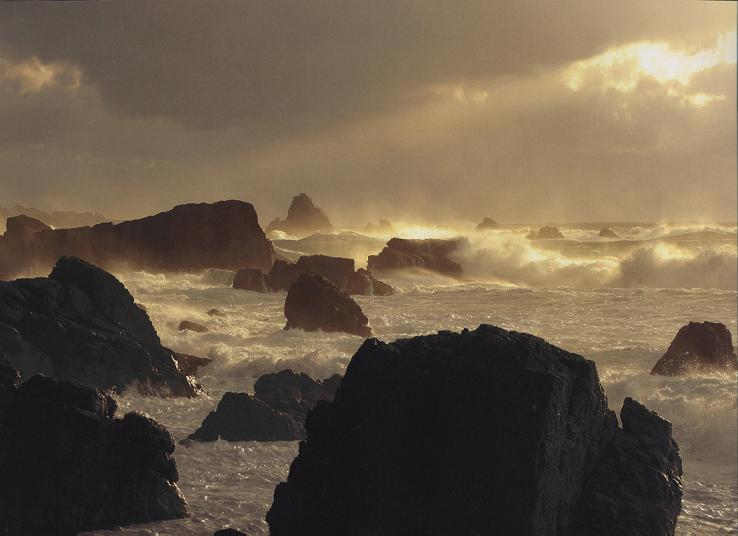 c0110236_12275497.jpg