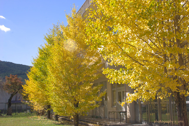 e0083238_720157.jpg
