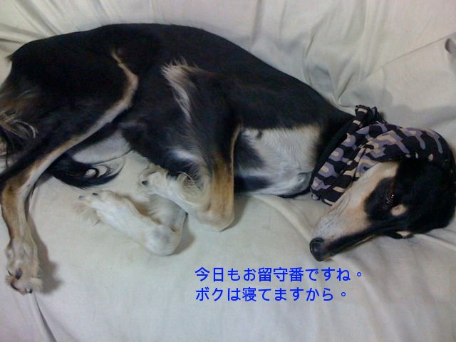 f0039538_20223965.jpg