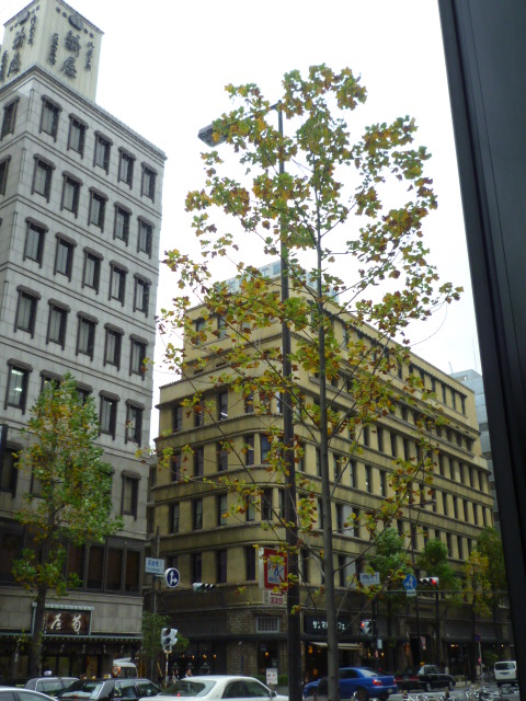 c0186741_96317.jpg