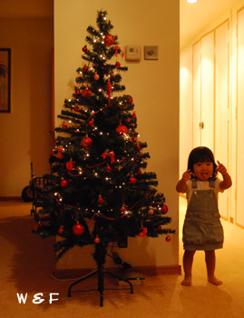 f0153345_3523743.jpg