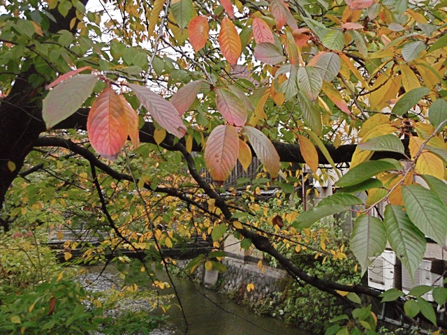 c0190847_0113575.jpg