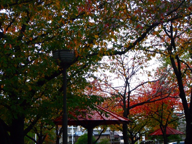 c0190847_094366.jpg