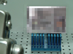 e0005548_0225029.gif