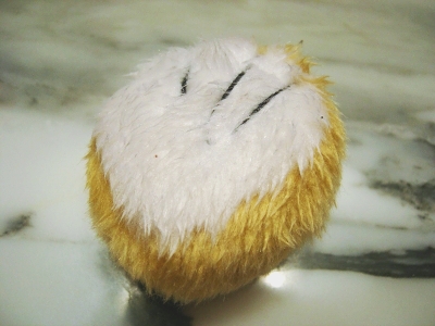 c0043751_2114943.jpg
