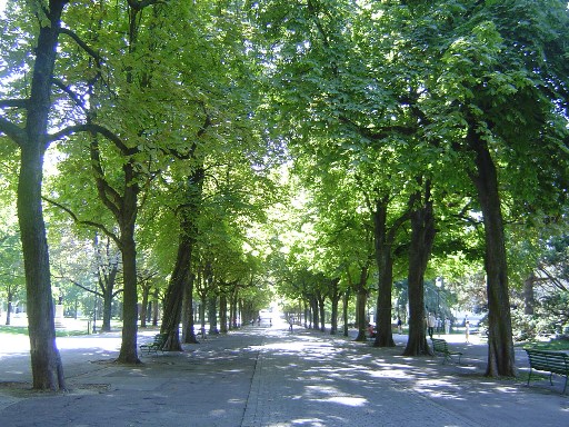 c0217551_23572280.jpg