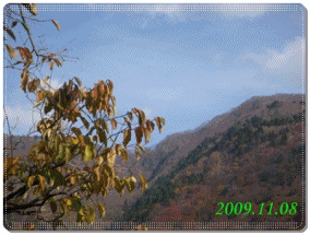 a0007552_759275.gif