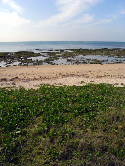 b0049152_19171839.jpg