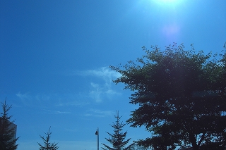 c0200760_23305666.jpg