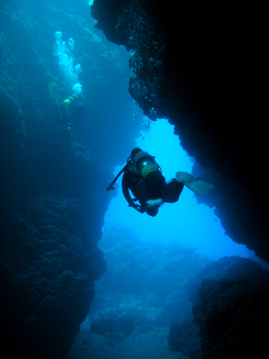 b0062363_7145516.jpg