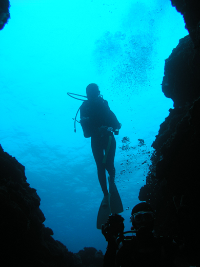 b0062363_7172781.jpg