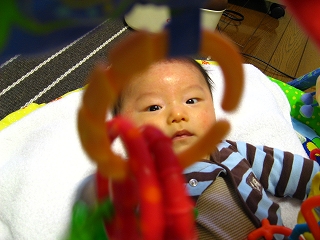 b0145863_1957339.jpg