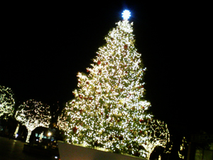 c0196264_117539.jpg