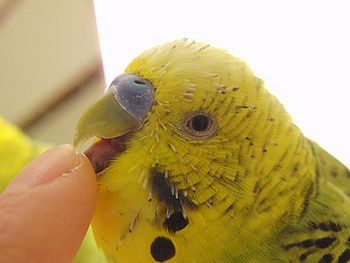 f0196665_023764.jpg