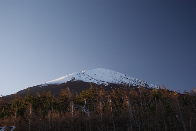 a0091666_16265043.jpg