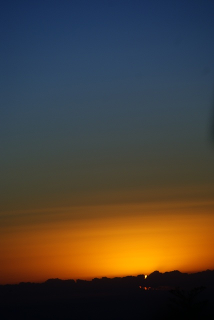 a0091666_169112.jpg