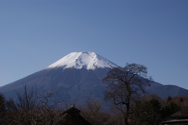 a0091666_2347589.jpg