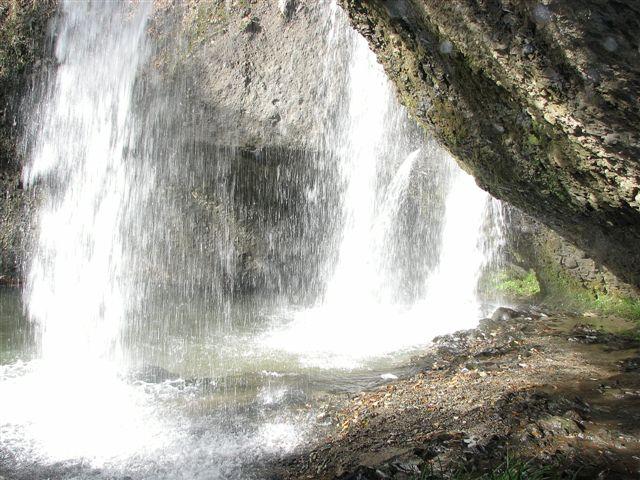 f0174373_1728284.jpg