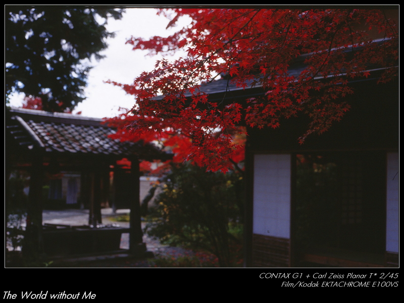 c0194174_22285149.jpg