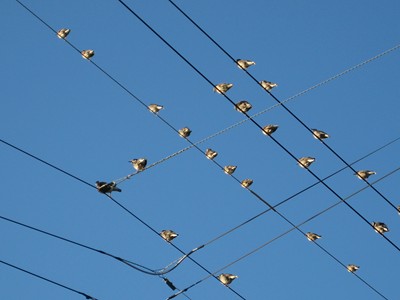 f0003174_154969.jpg