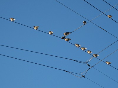 f0003174_15525634.jpg