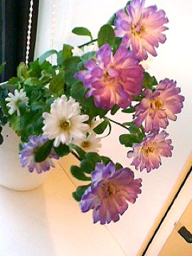 f0054677_8373979.jpg