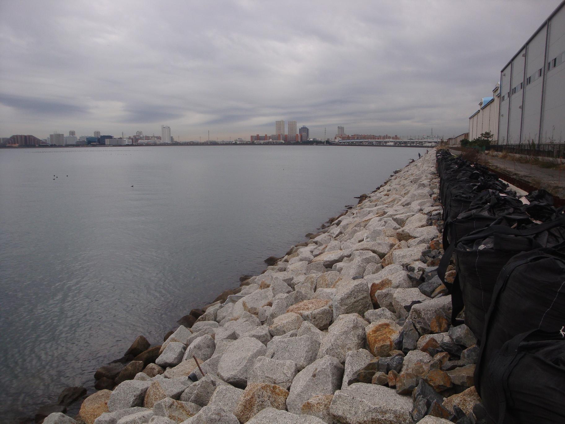 f0191888_17393721.jpg