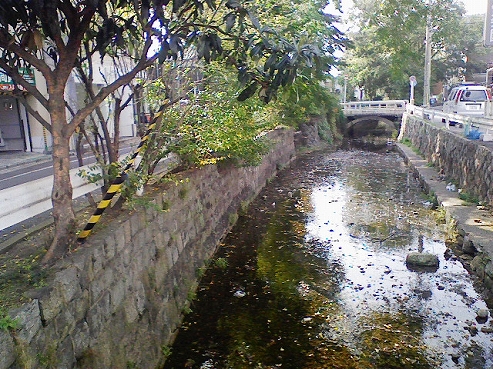 b0100489_636676.jpg