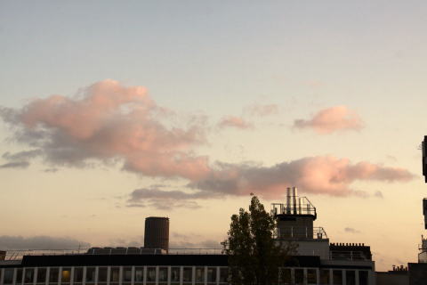 c0090198_46402.jpg