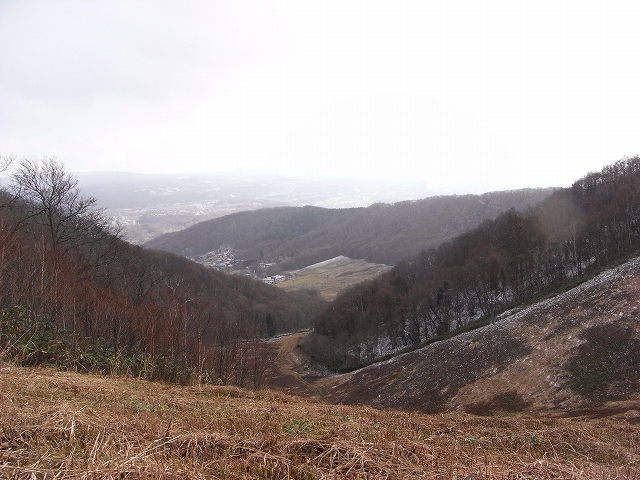 f0157901_20174787.jpg