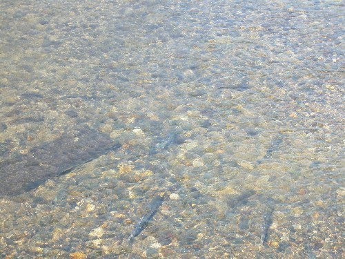 c0058606_0554647.jpg
