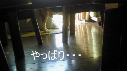 c0205806_1812676.jpg