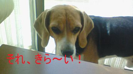 c0205806_18131769.jpg